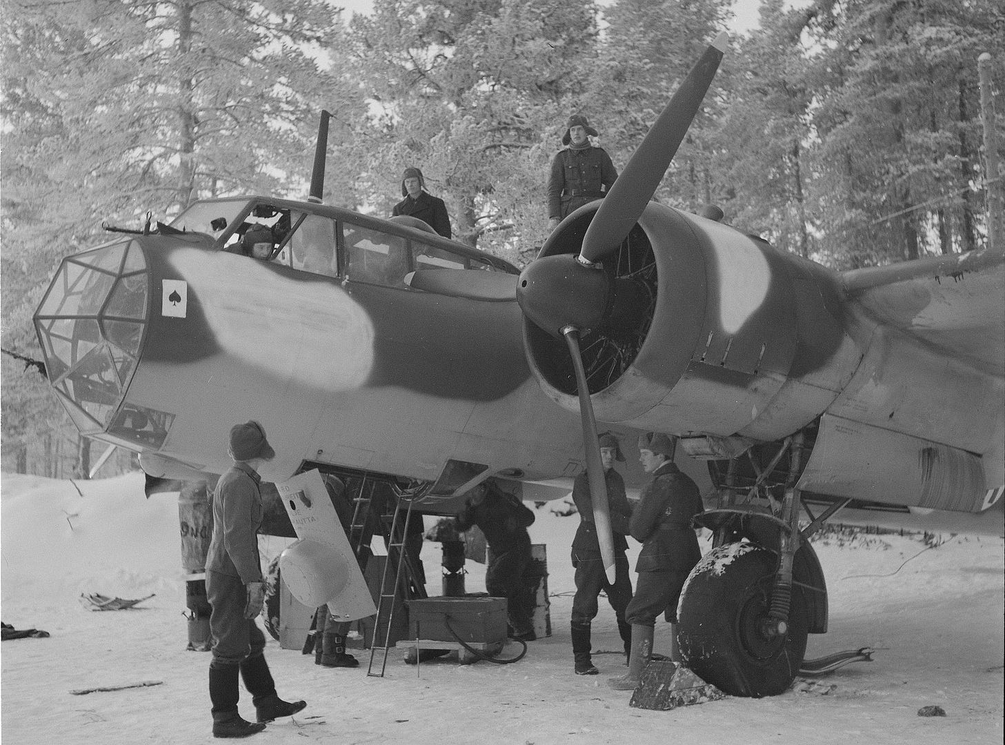 Finland 42 Finland 42