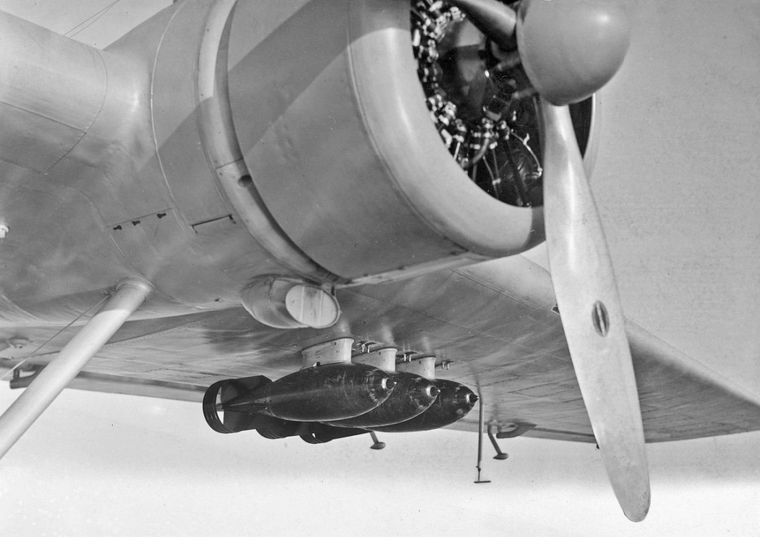 1 Wing Hardpoints 1 Wing Hardpoints