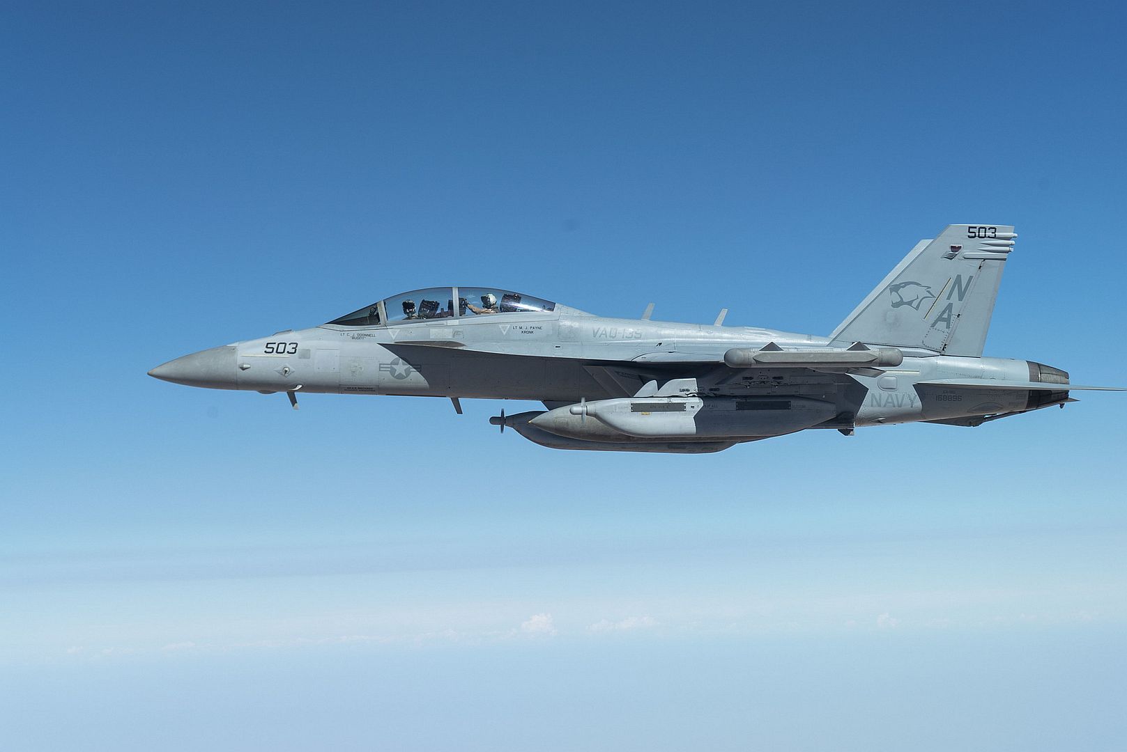 EA 18G Growler Assigned To Carrier Air Wing 17 Deployed Aboard The Aircraft Carrier USS Nimitz