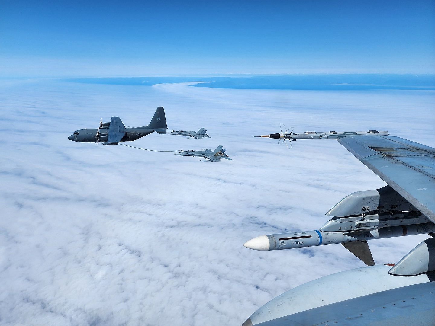 Exercise FOX FRENZY 23 Exercise FOX FRENZY 23