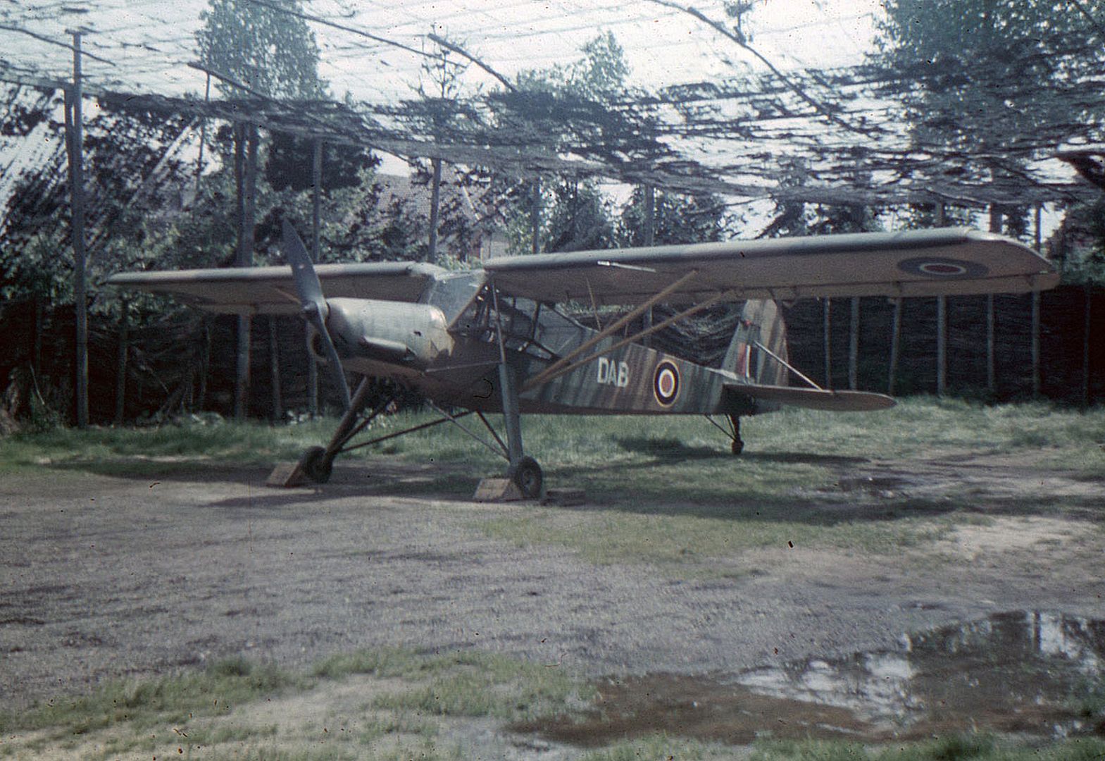 Storch RAF Storch RAF