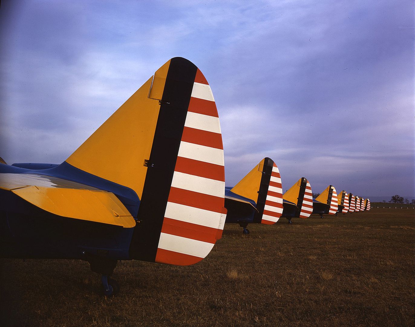 19 Cornell 19 Cornell