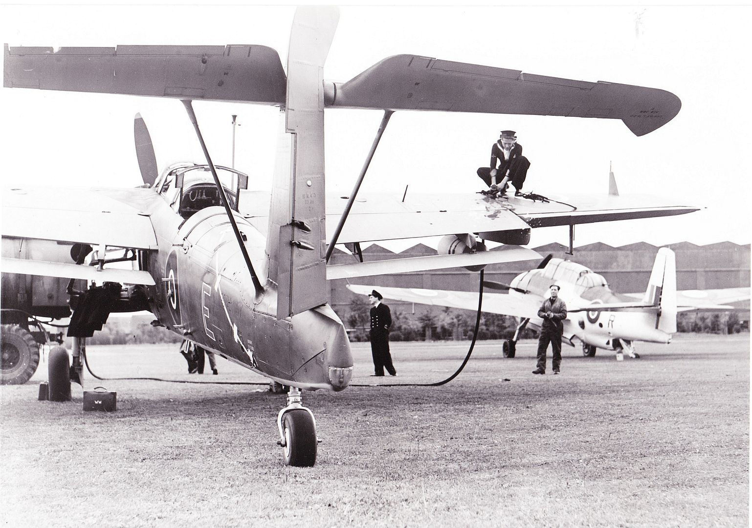 Fairey Barracuda Tail Fairey Barracuda Tail