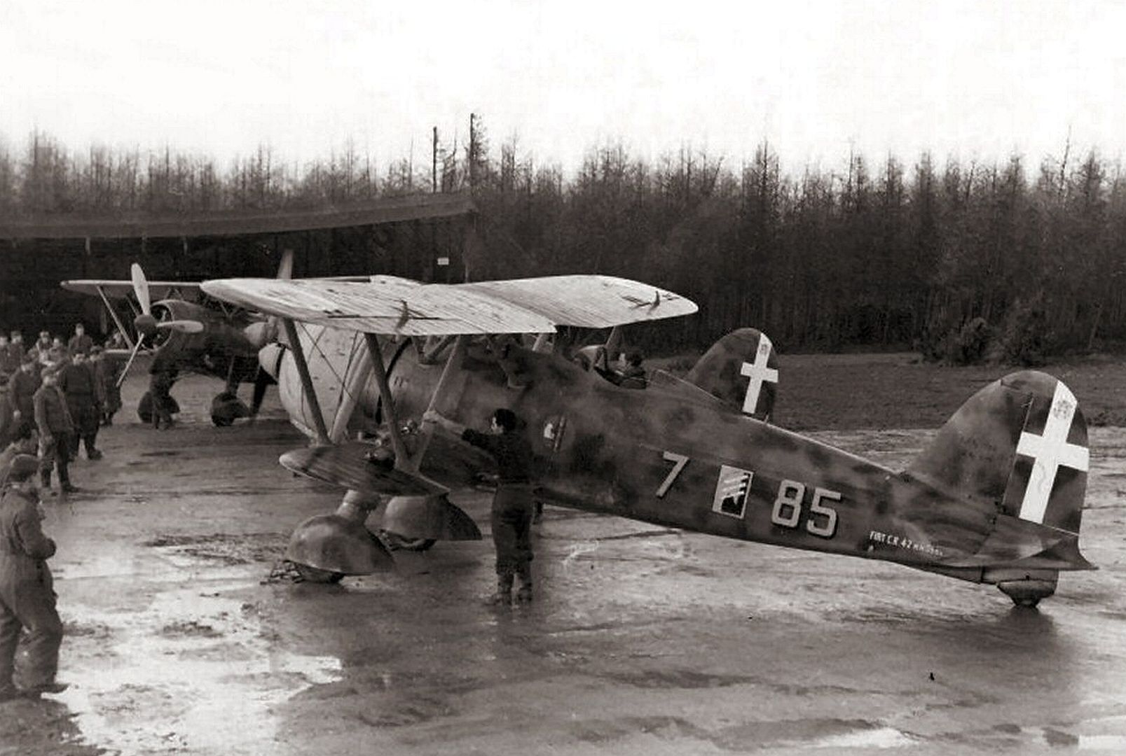 42 In Belgium 42 In Belgium