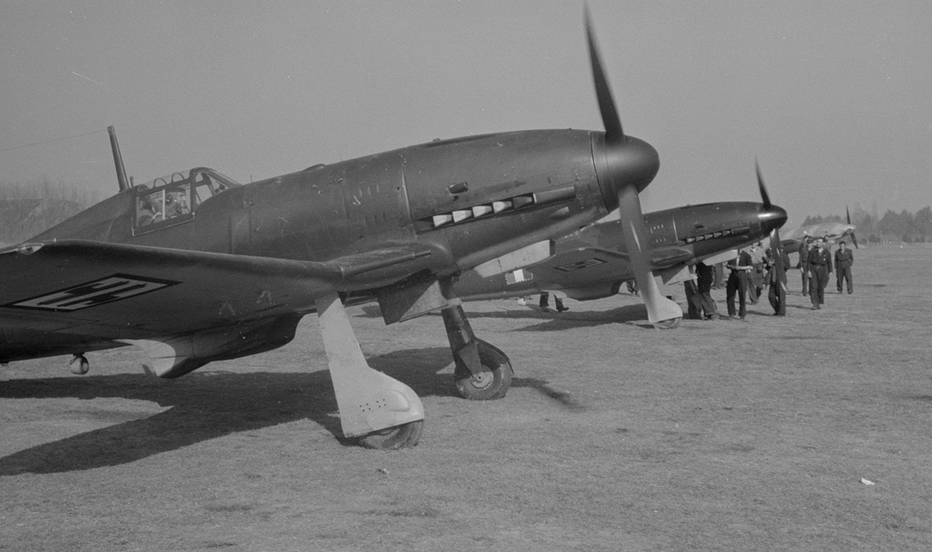 55 Centauro 55 Centauro