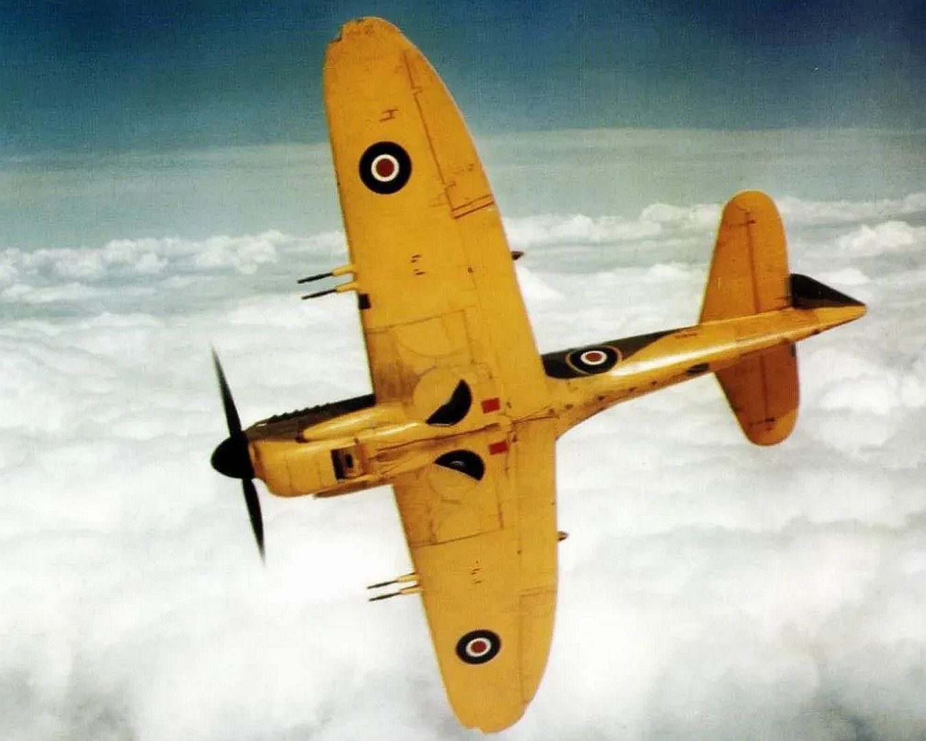 FireflyFRMkIZ1832 FireflyFRMkIZ1832