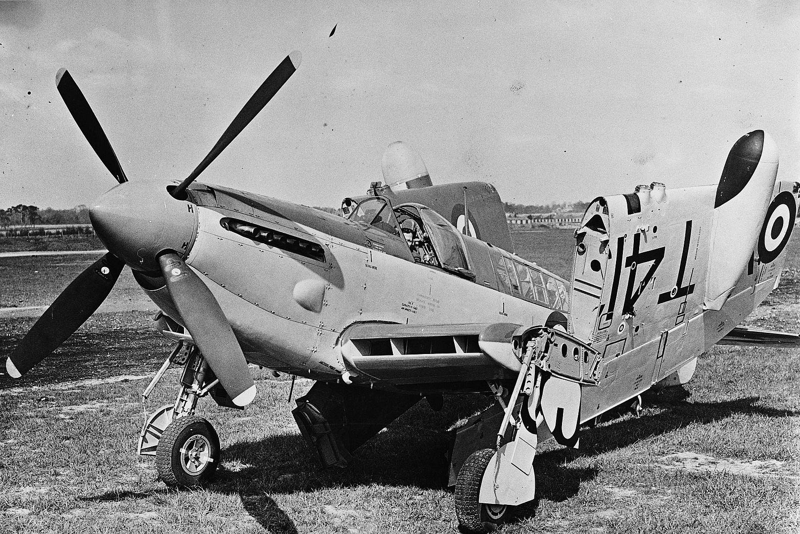 Firefly IV 97003 Firefly IV 97003