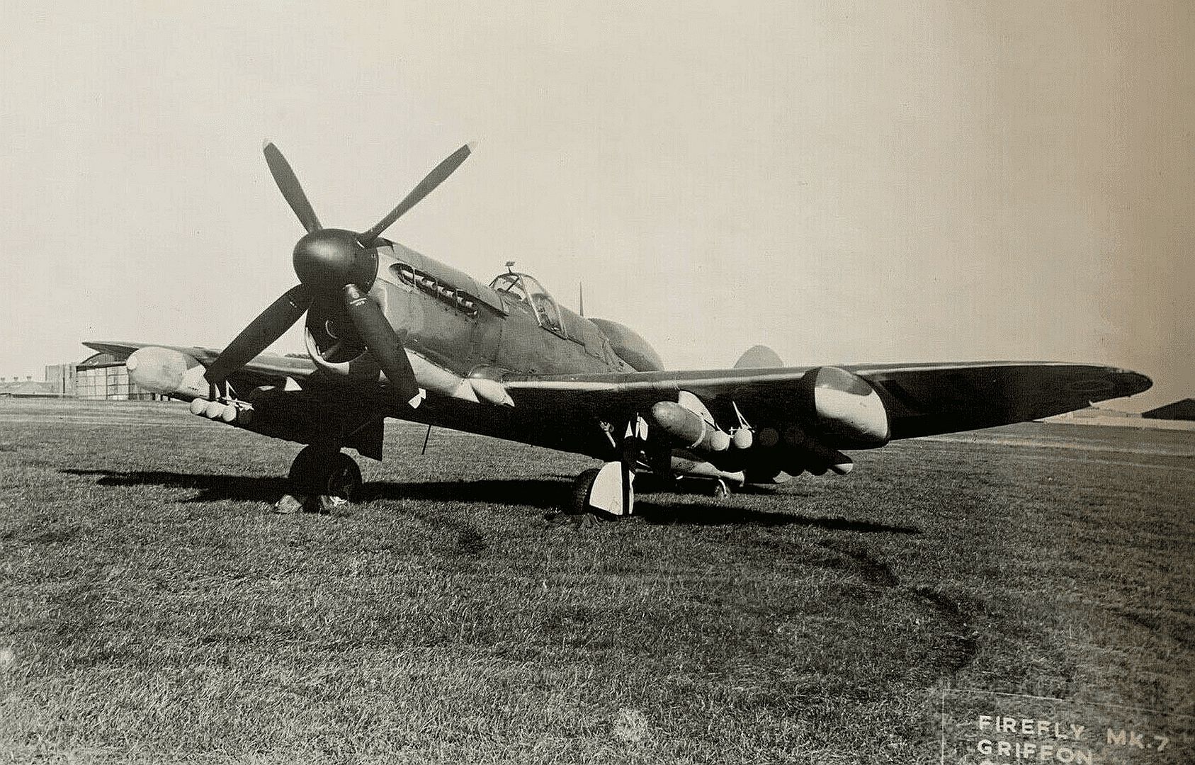 Firefly MkVII Firefly MkVII