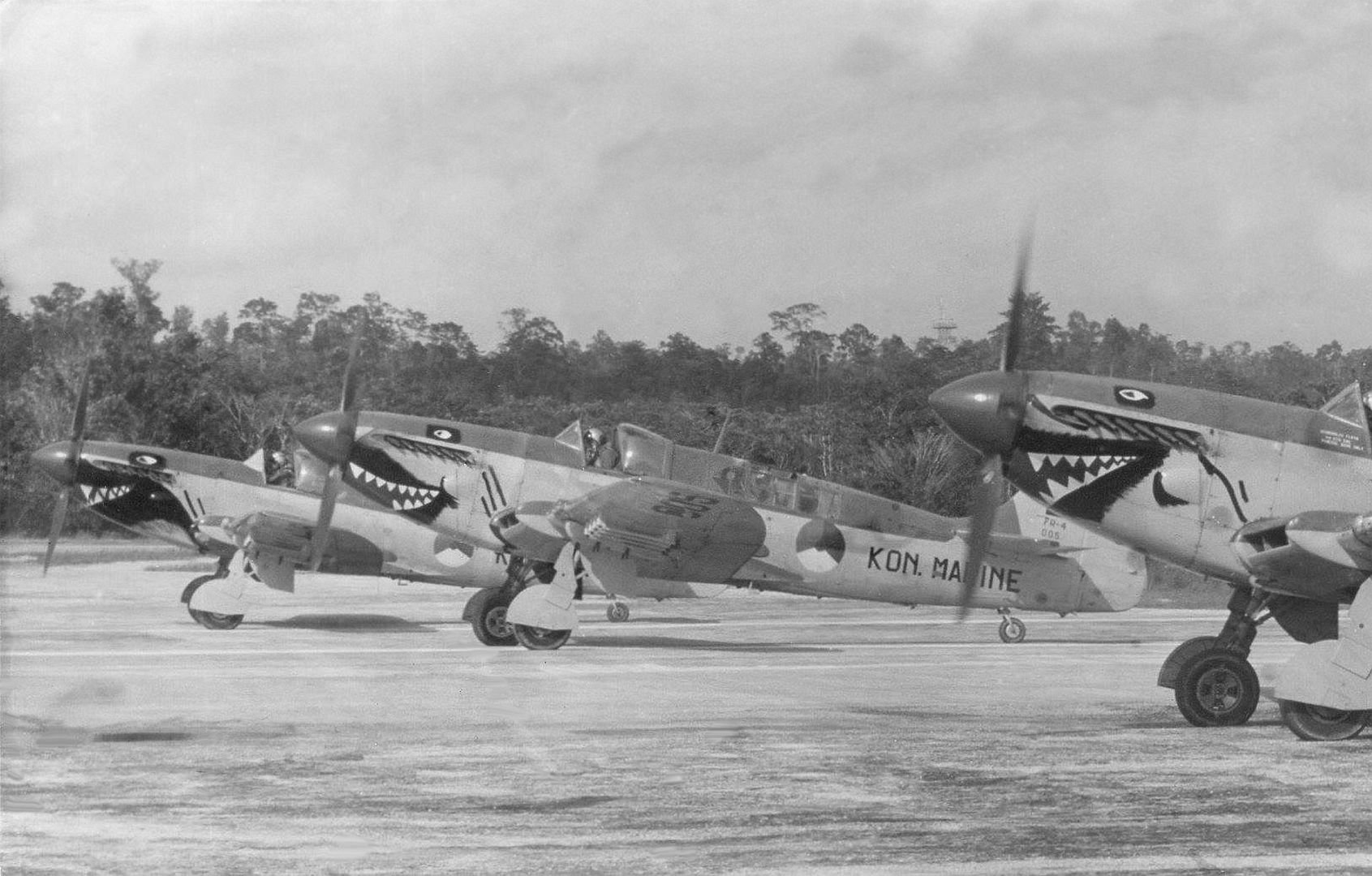 Fireflys Before Take OffPapua Indonesia Fireflys Before Take OffPapua Indonesia