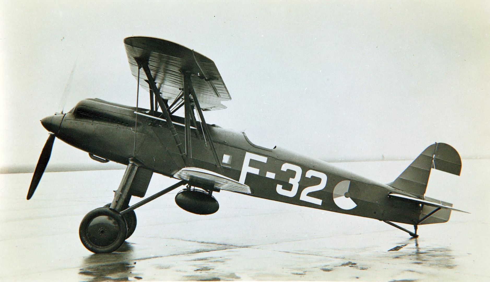 XVII Curtiss Powered Conversion