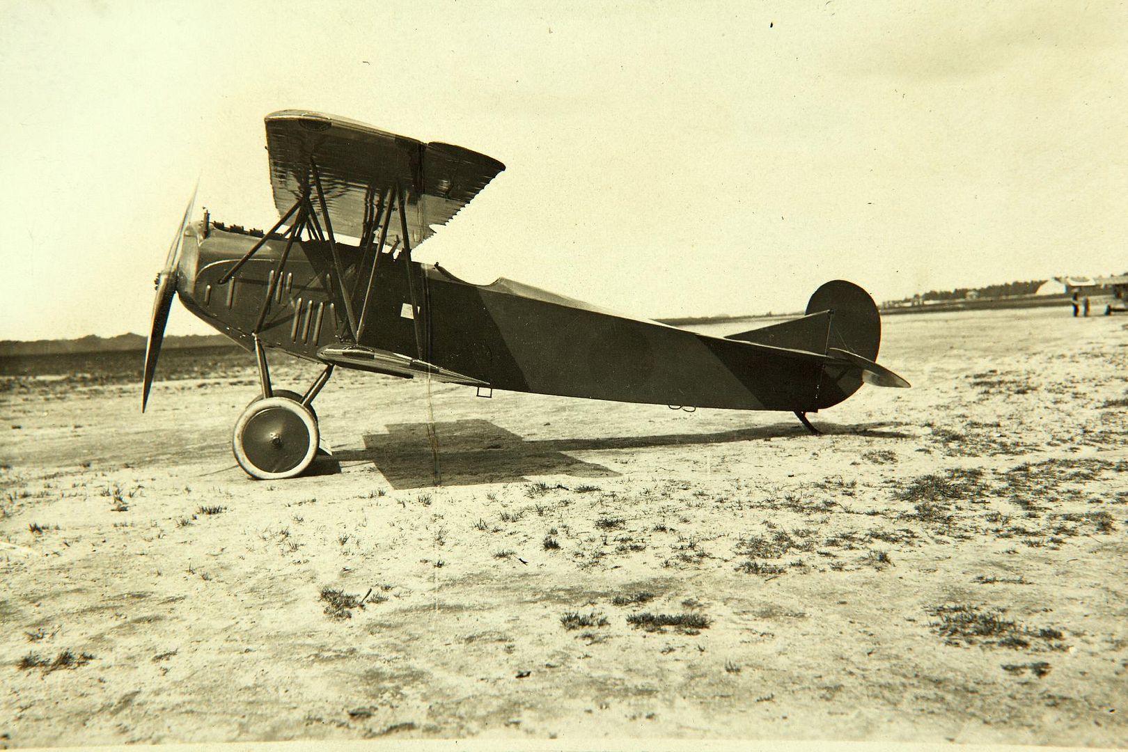 VII American  VII American