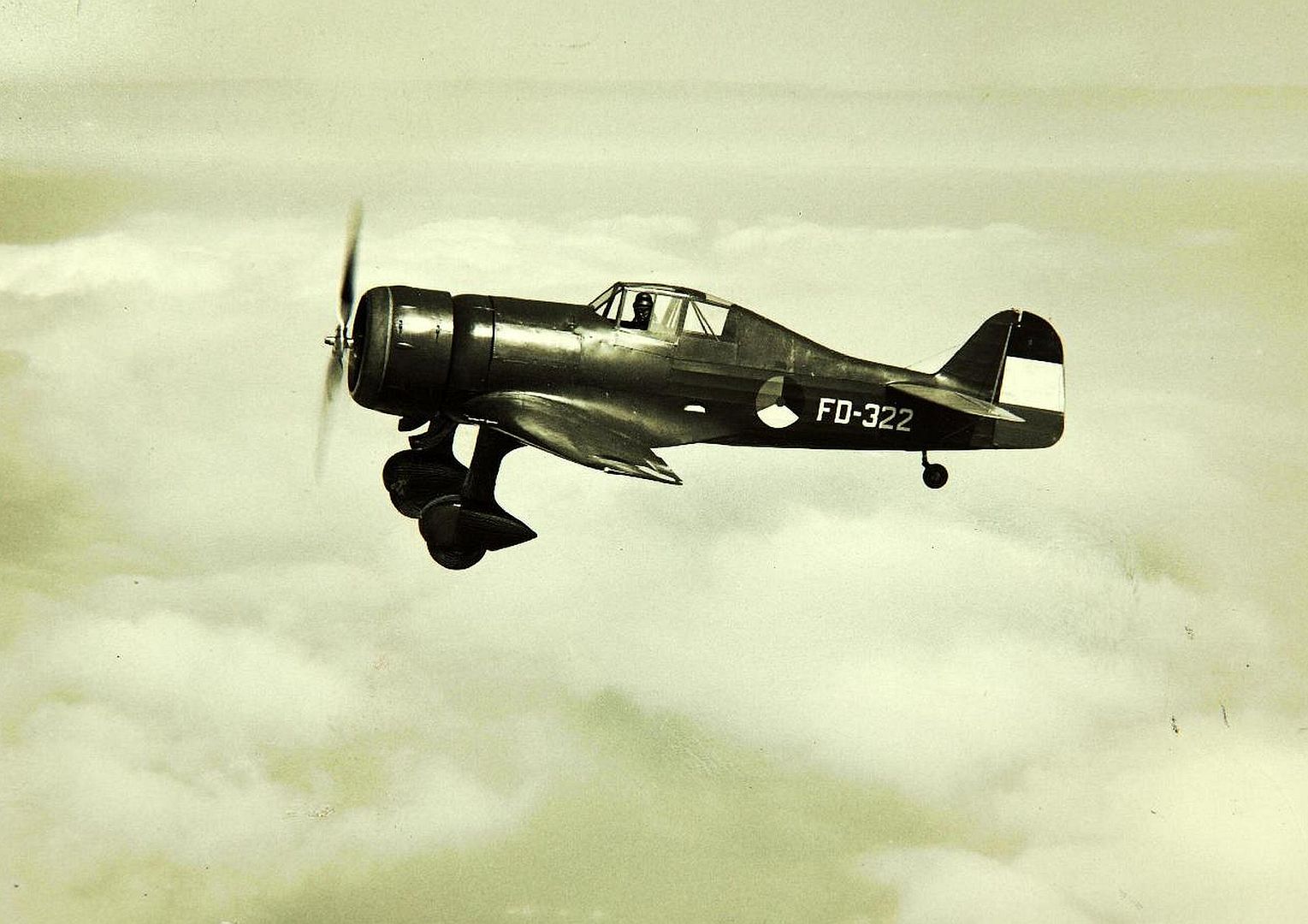 XXI In Flight XXI In Flight