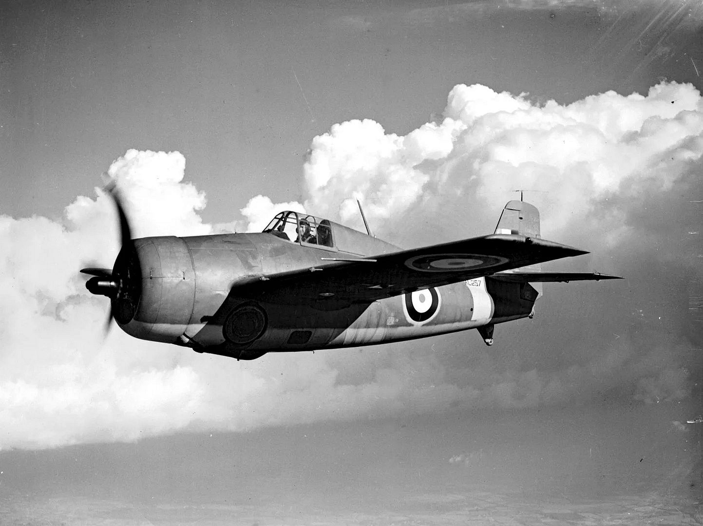 Grumman Martlet AL257 Grumman Martlet AL257