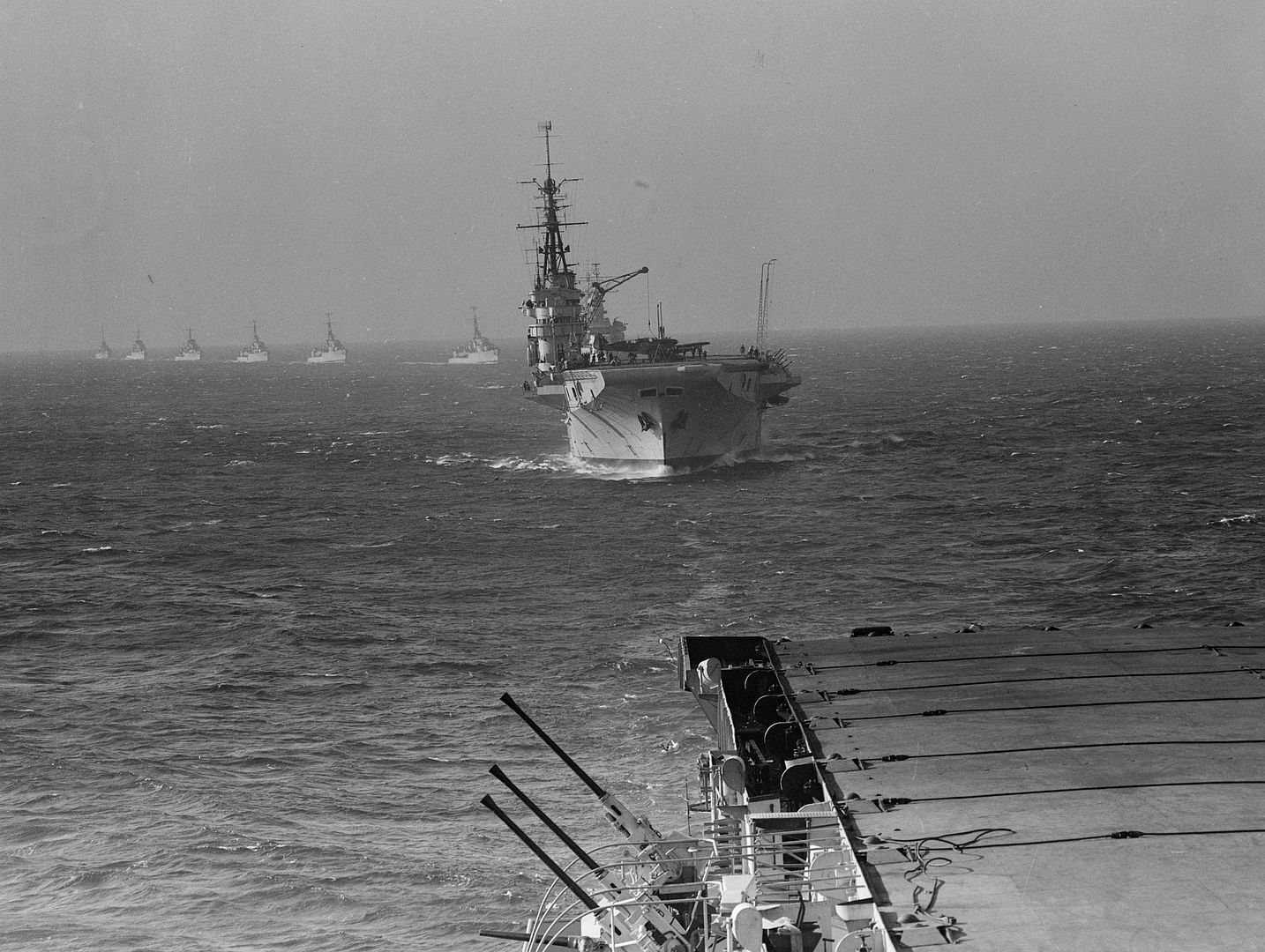 65 TSw19vzbGa51sSahgQEBDJ 65 TSw19vzbGa51sSahgQEBDJ