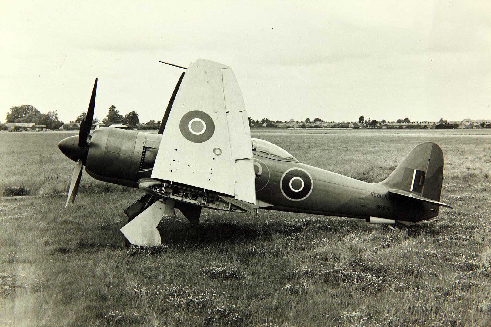 Hawker Sea Fury X