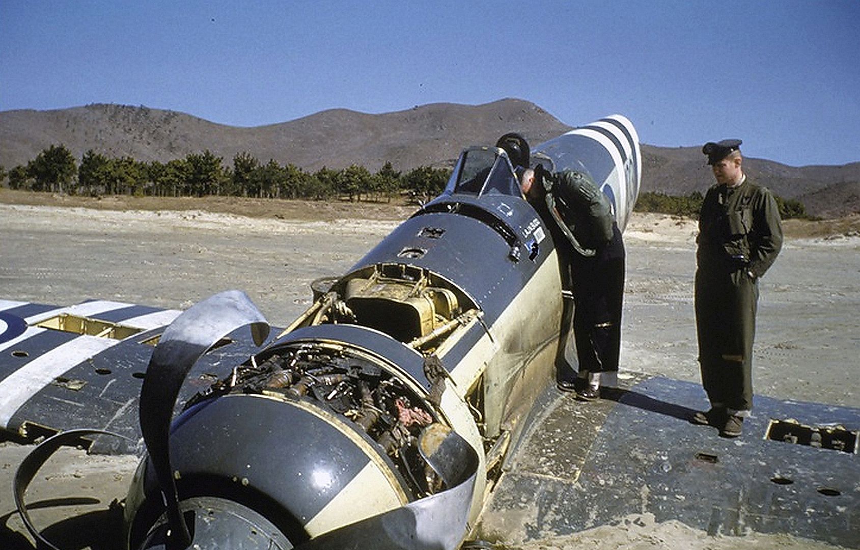 Hawker Sea Fury Wreck Hawker Sea Fury Wreck