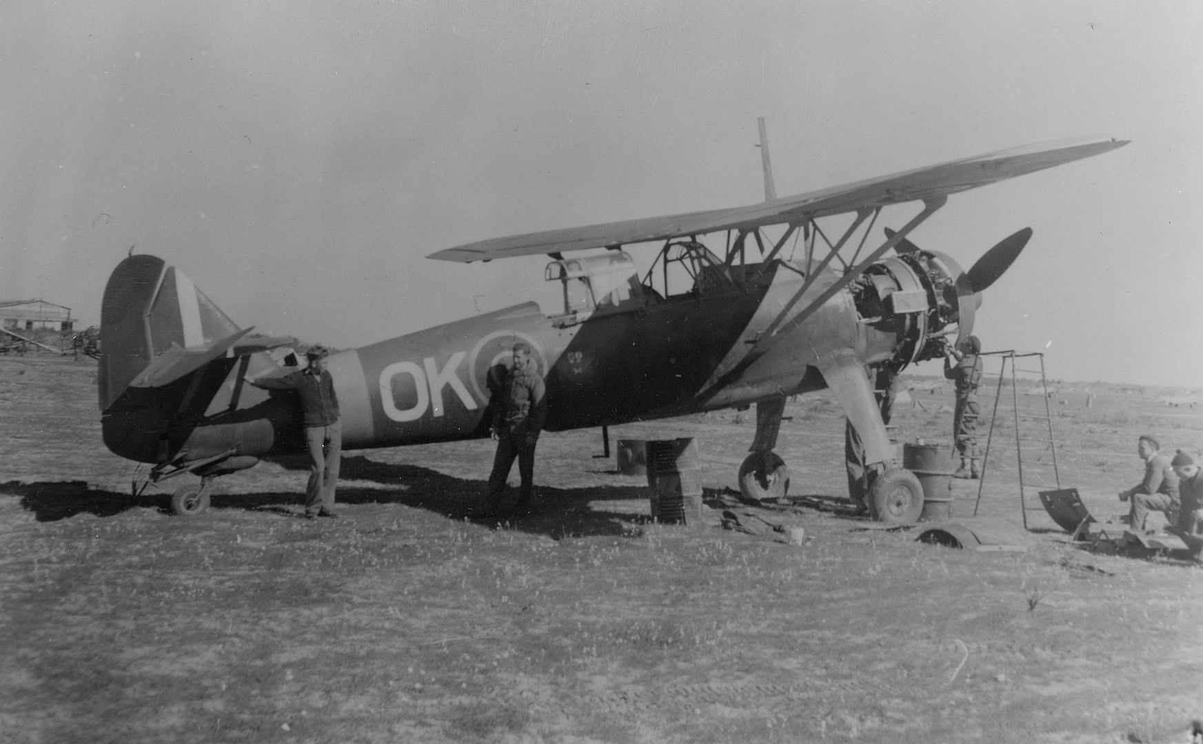 North Africa North Africa