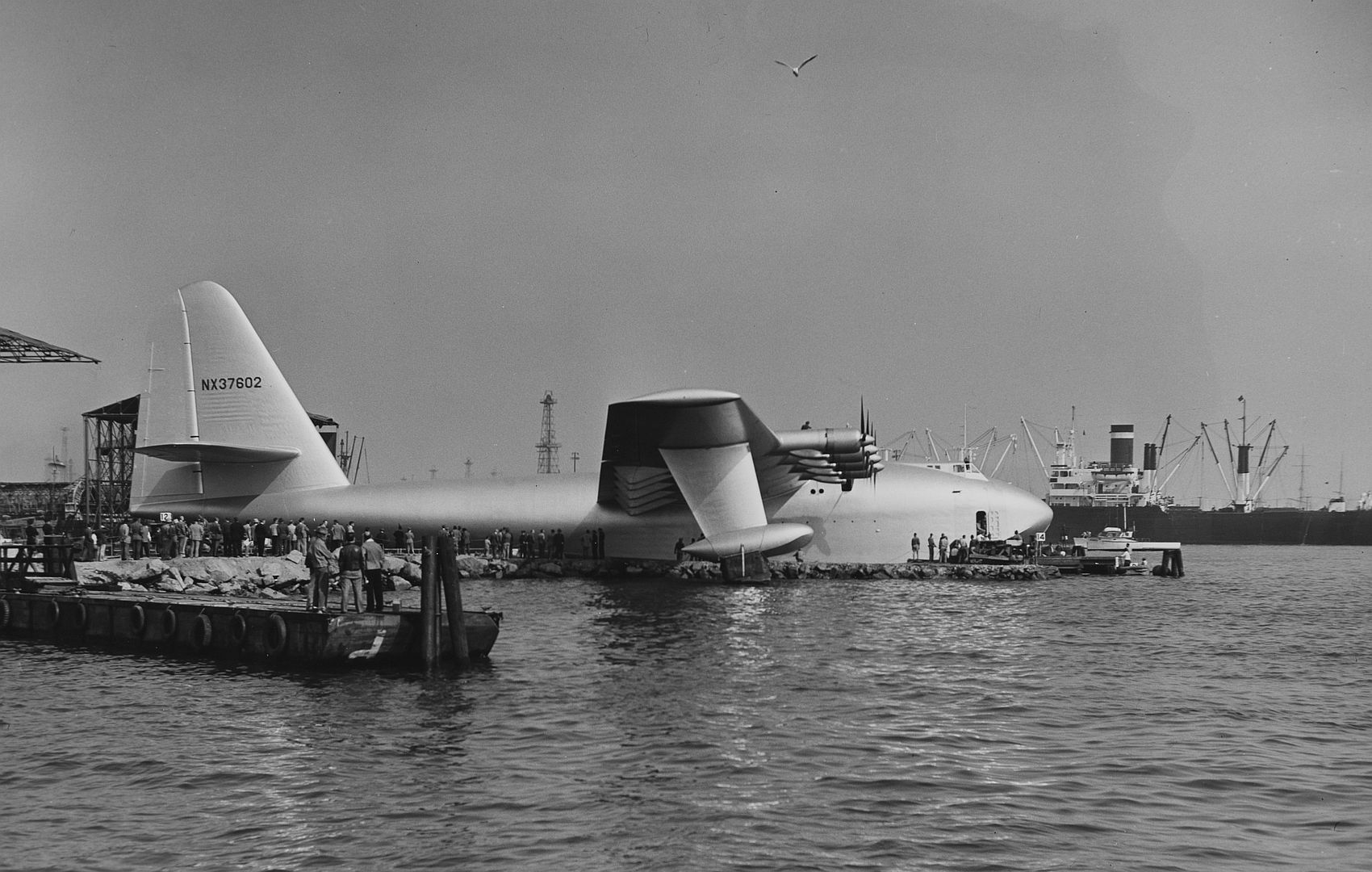 4 TtULVWLhPWLVFZWbciG2Hn 4 TtULVWLhPWLVFZWbciG2Hn