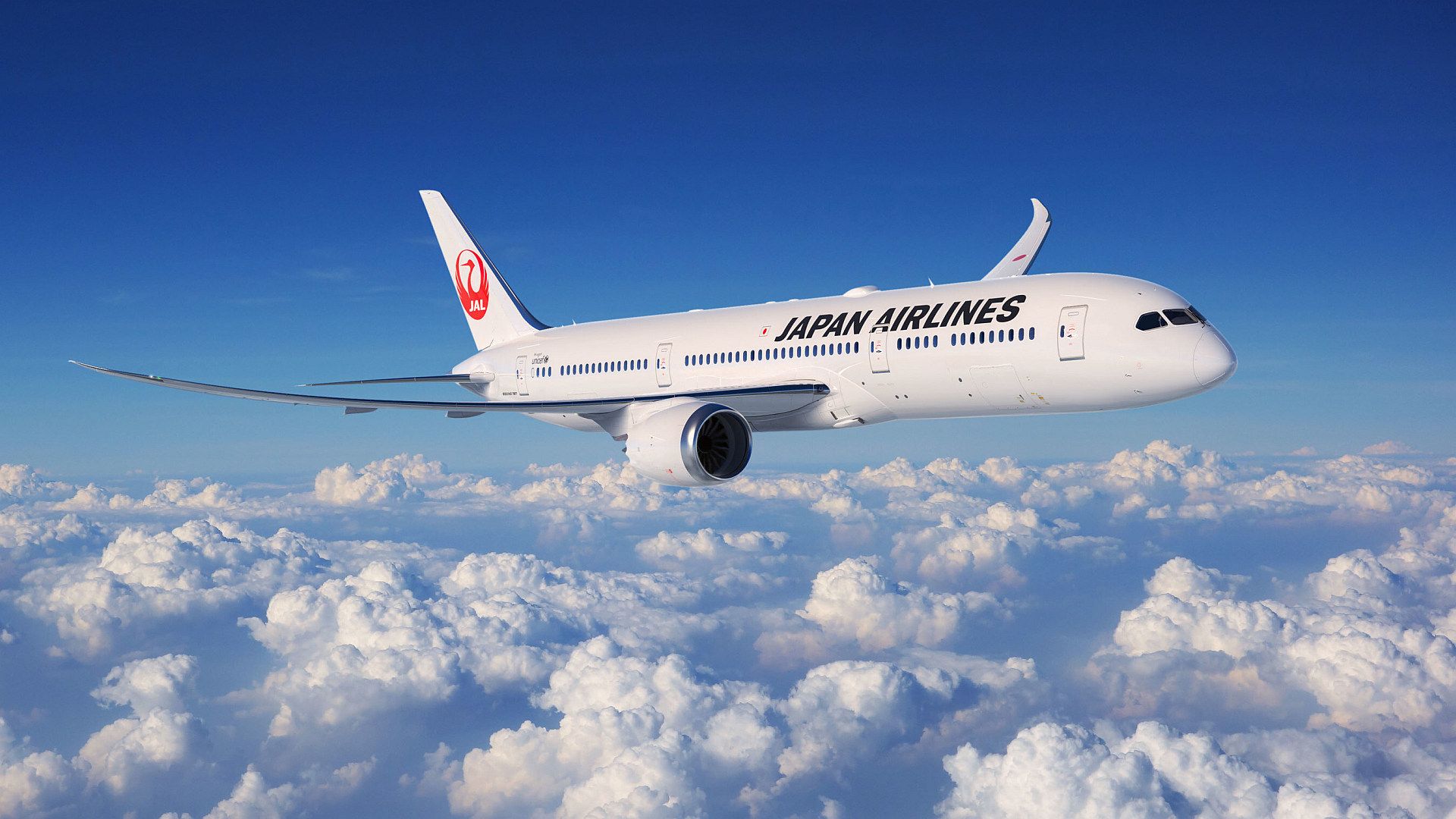 JAL 7879 Inflight JAL 7879 Inflight
