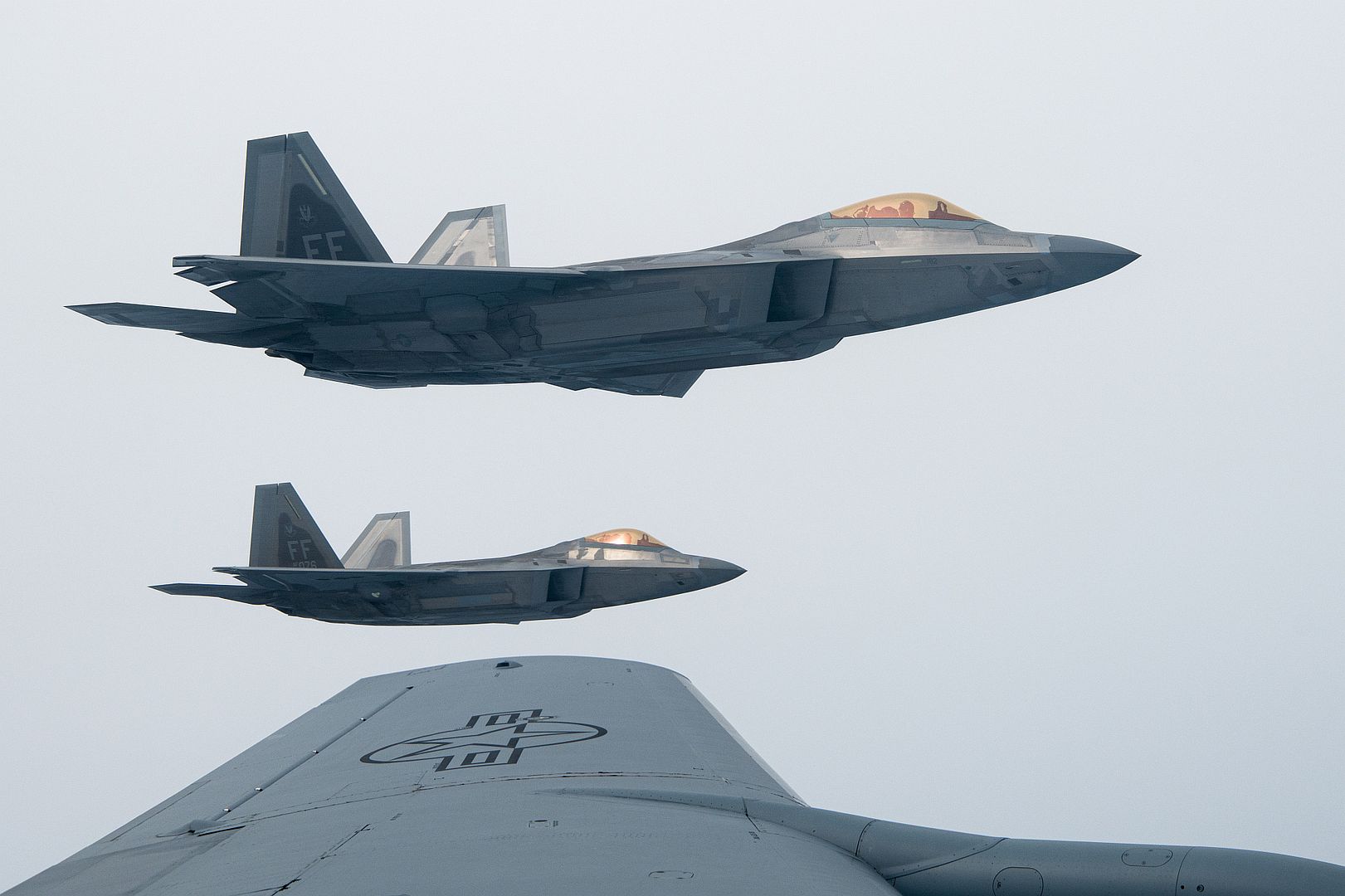 22 Raptors 22 Raptors