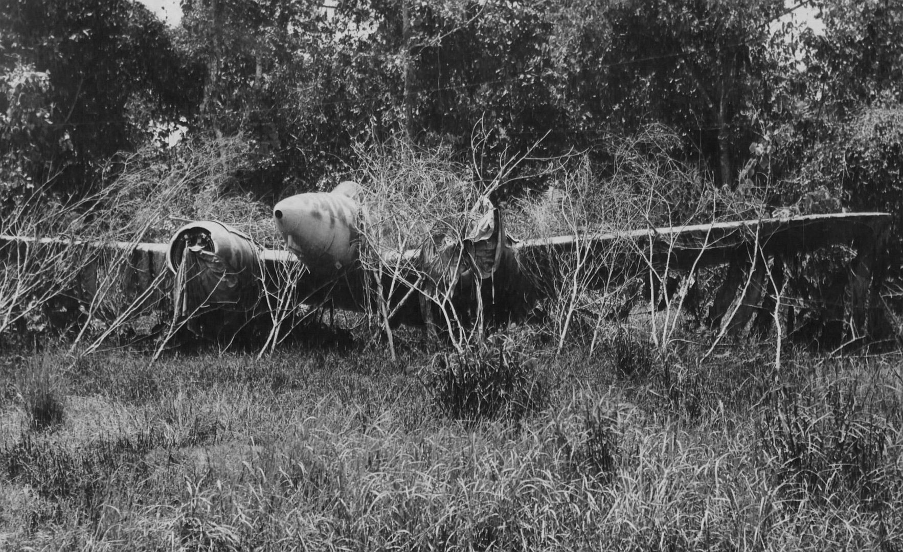 46 Dinah Mindanao 46 Dinah Mindanao