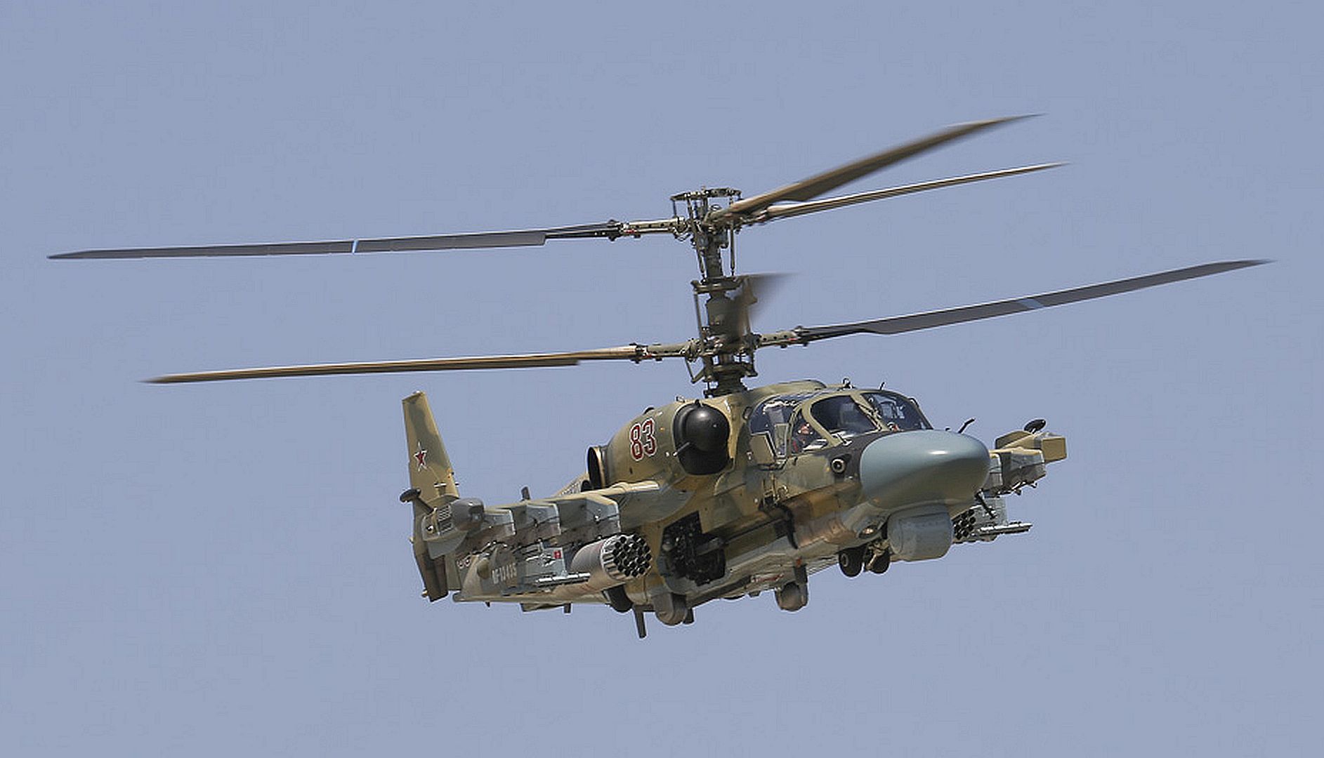 52 Alligator 52 Alligator