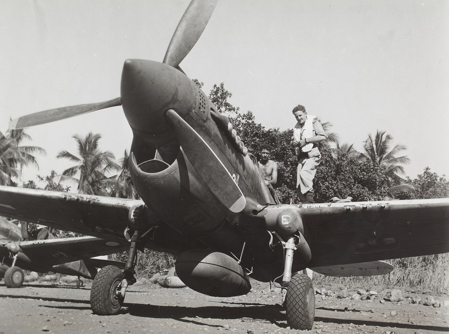 Kittyhawk RAAF
