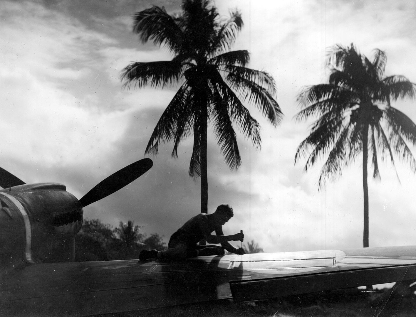 Kiwi Kittyhawk Kiwi Kittyhawk