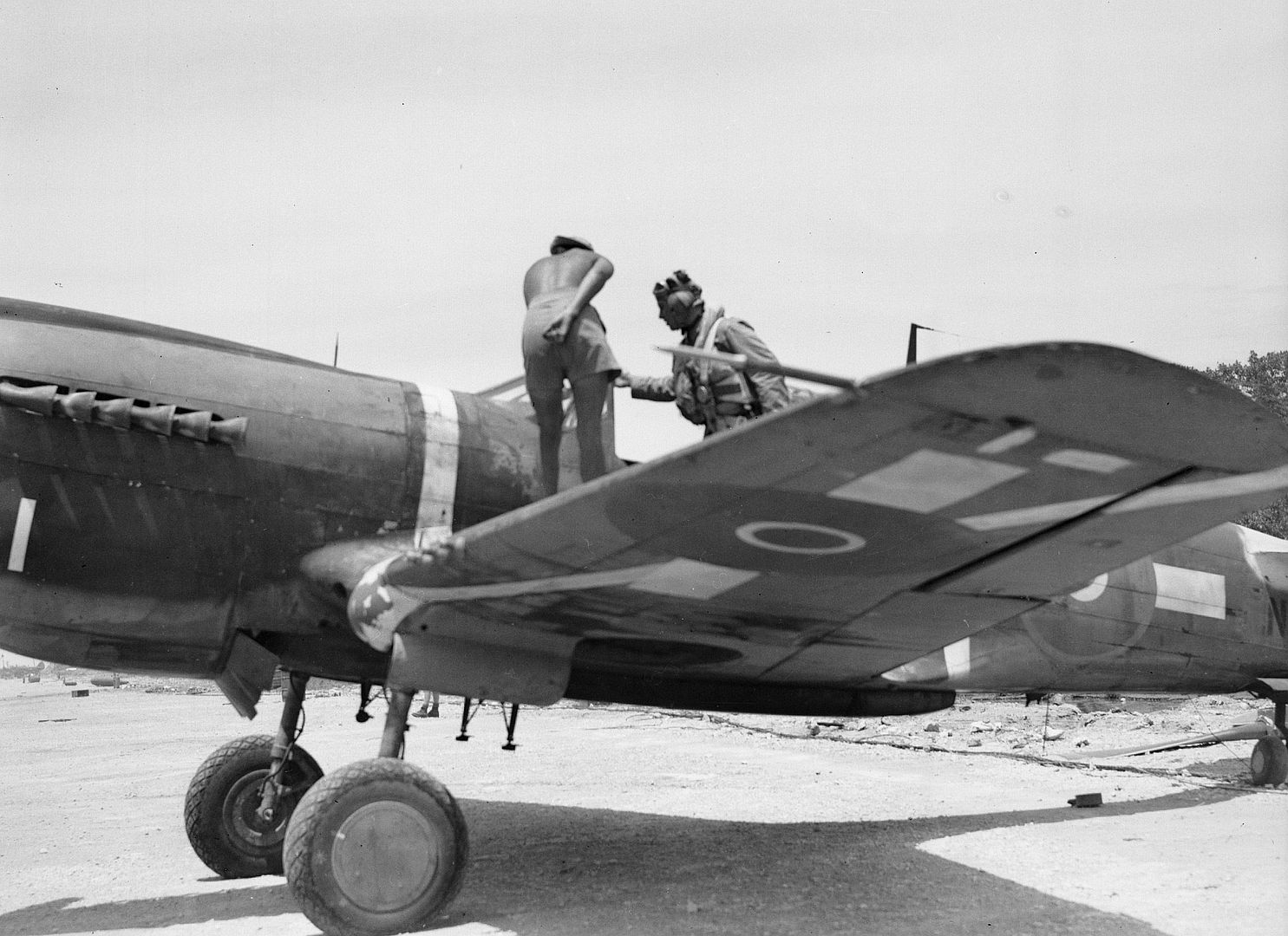 Kiwi Kittyhawk 1 Kiwi Kittyhawk 1