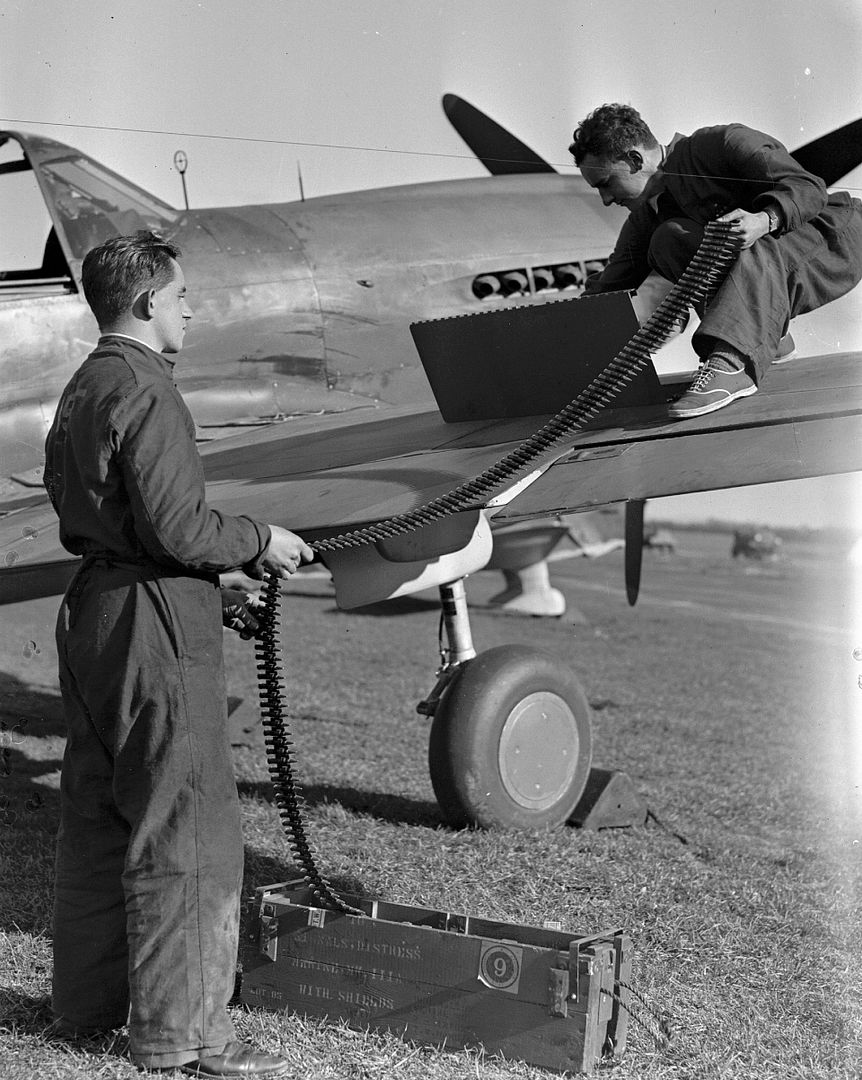 Kiwi Kittyhawk 16 Kiwi Kittyhawk 16