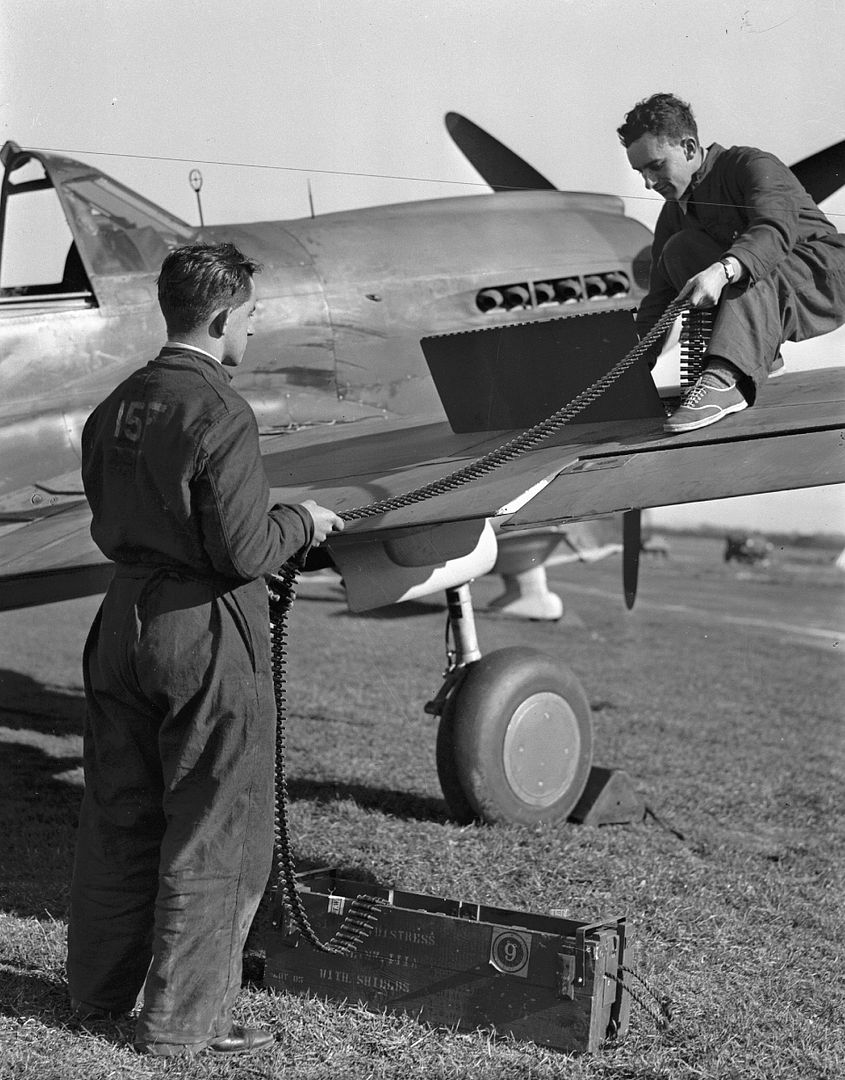 Kiwi Kittyhawk 17 Kiwi Kittyhawk 17