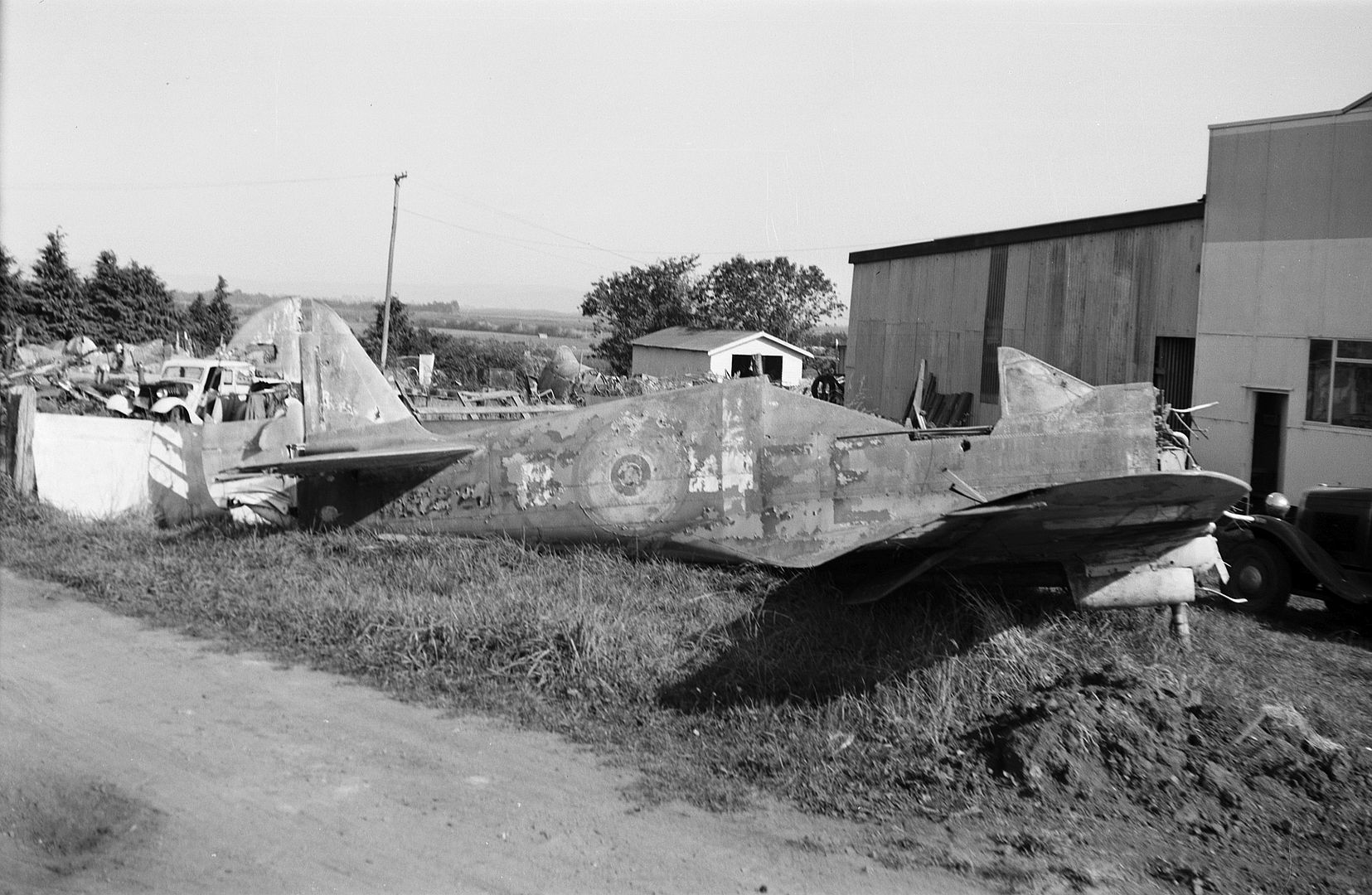 Kiwi Kittyhawk 19 Kiwi Kittyhawk 19