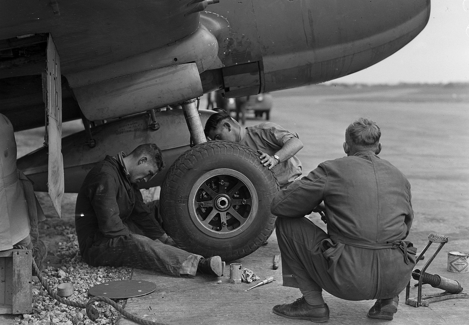 Kiwi Kittyhawk 21 Kiwi Kittyhawk 21