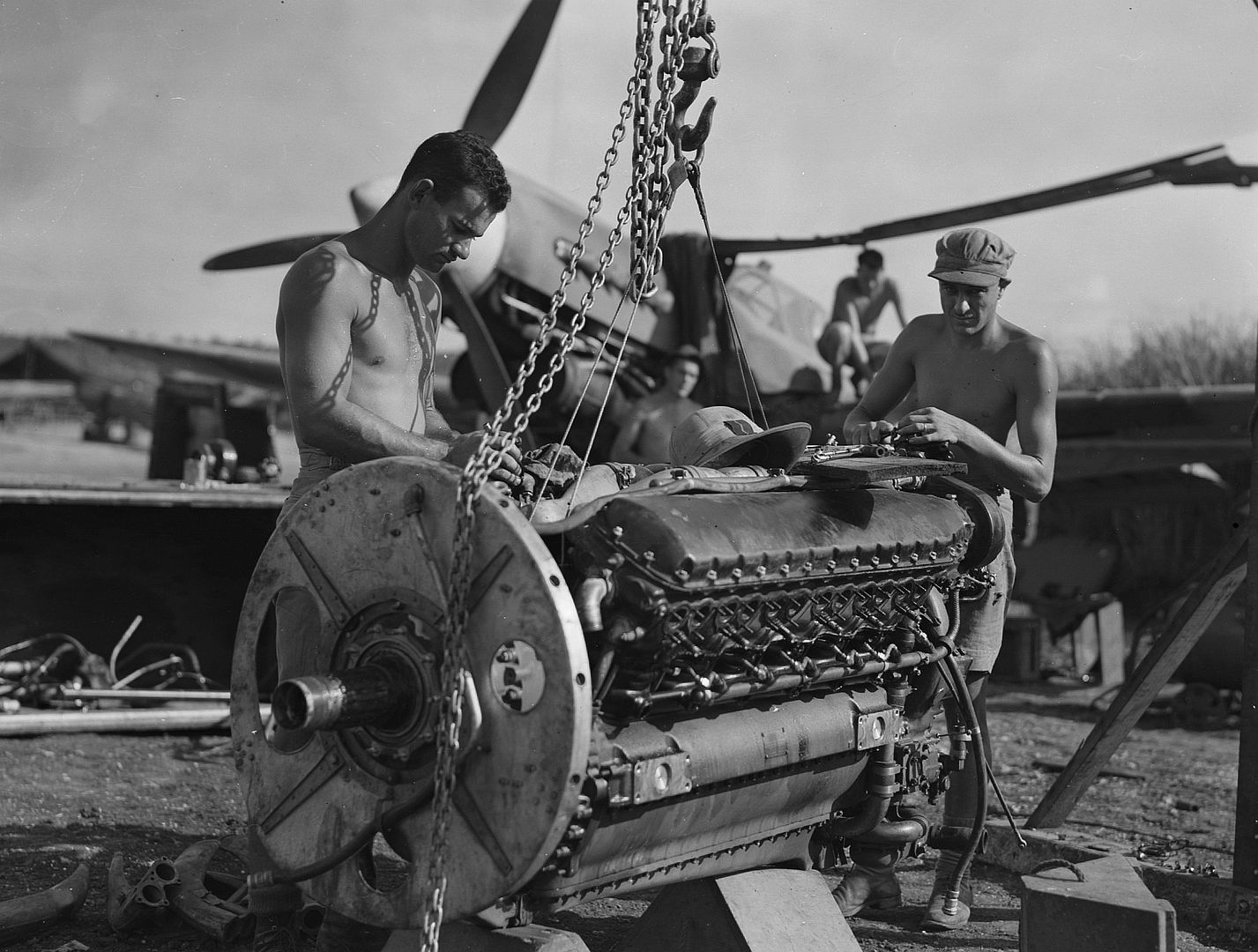 Kiwi Kittyhawk 22 Kiwi Kittyhawk 22