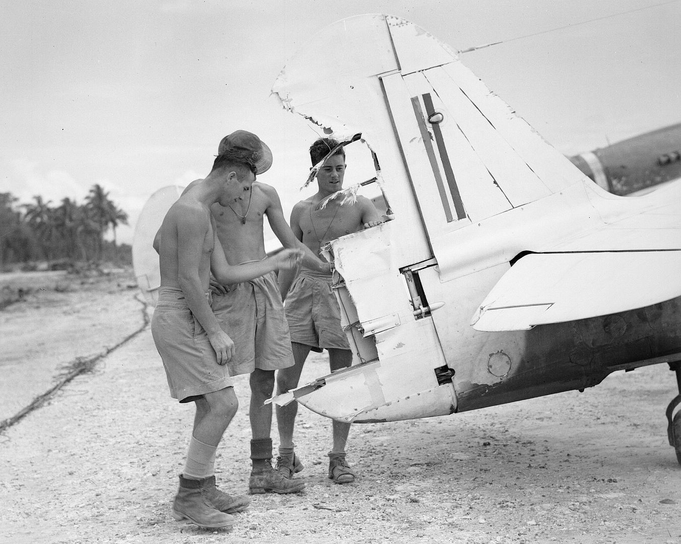 Kiwi Kittyhawk 24 Kiwi Kittyhawk 24