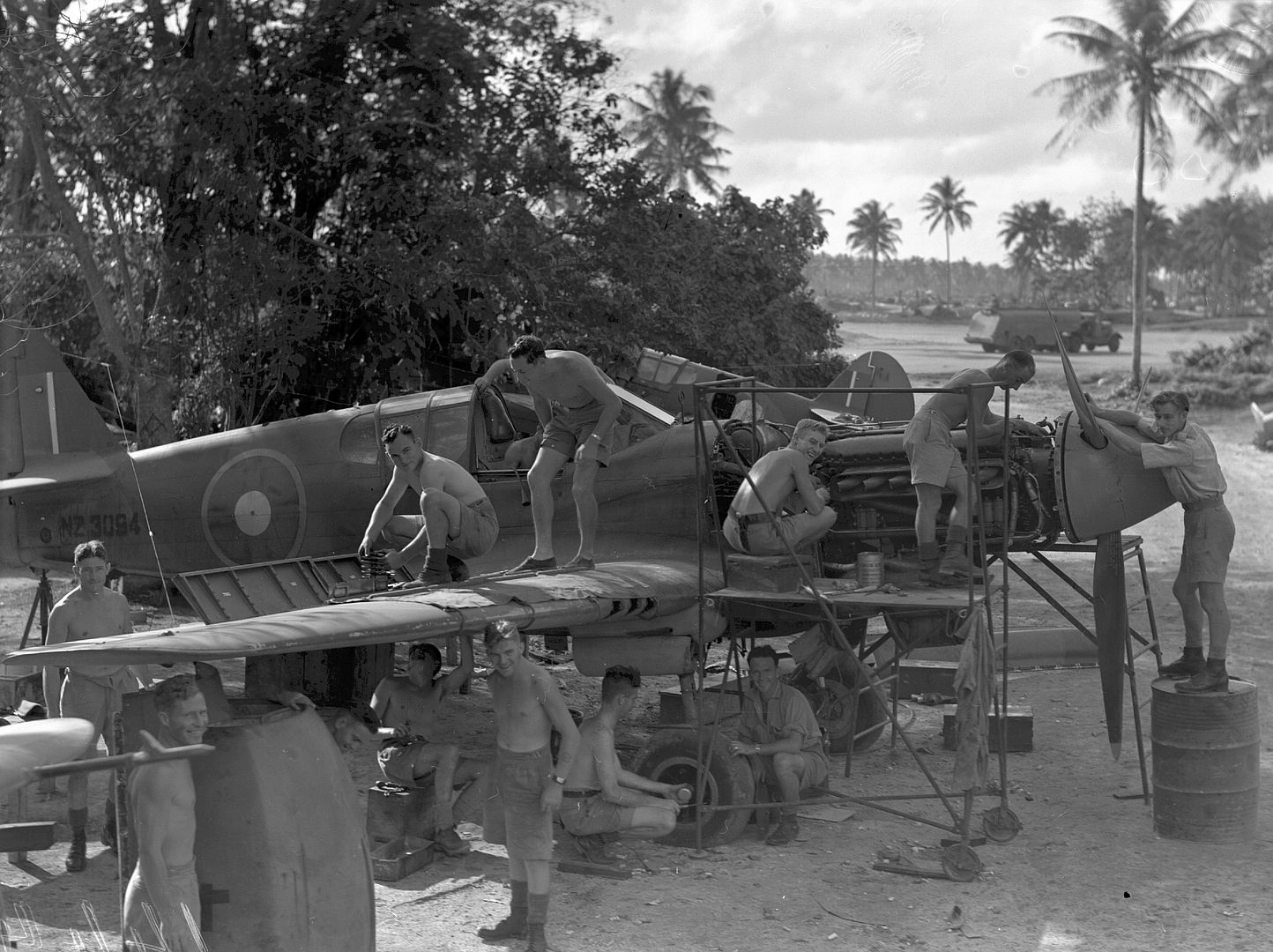 Kiwi Kittyhawk 26 Kiwi Kittyhawk 26