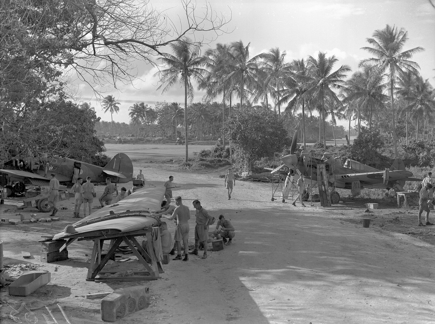 Kiwi Kittyhawk 27 Kiwi Kittyhawk 27