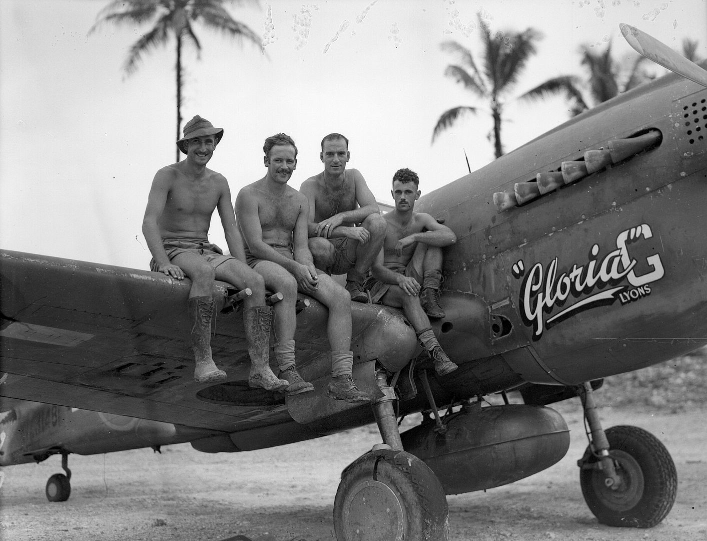 Kiwi Kittyhawk 28 Kiwi Kittyhawk 28