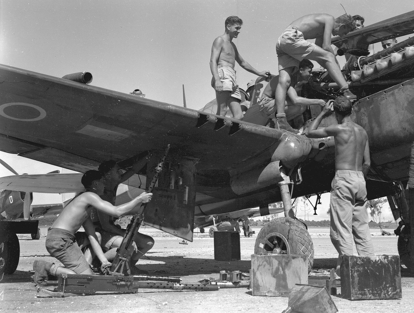 Kiwi Kittyhawk 29 Kiwi Kittyhawk 29