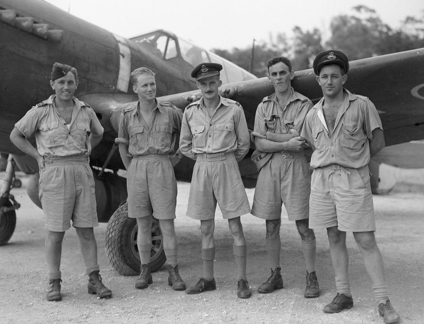 Kiwi Kittyhawk 30 Kiwi Kittyhawk 30