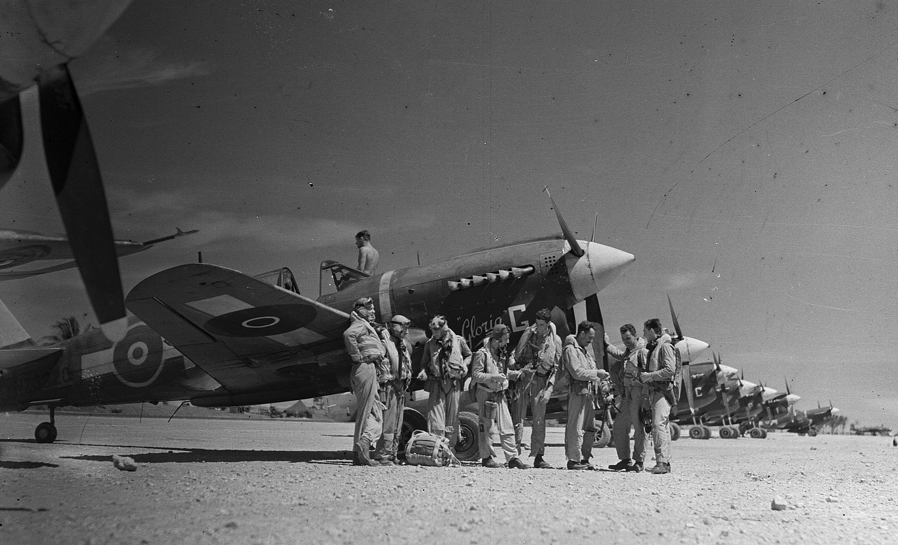 Kiwi Kittyhawk 33 Kiwi Kittyhawk 33