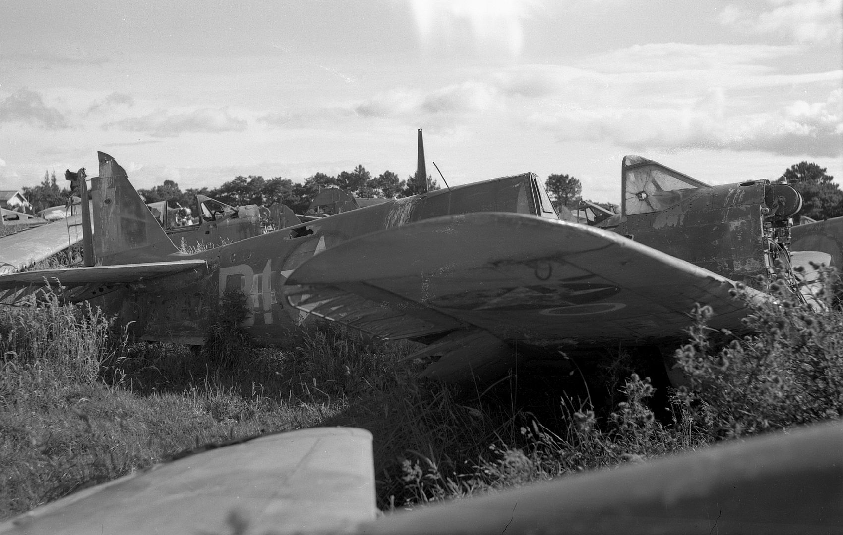 Kiwi Kittyhawk 34 Kiwi Kittyhawk 34