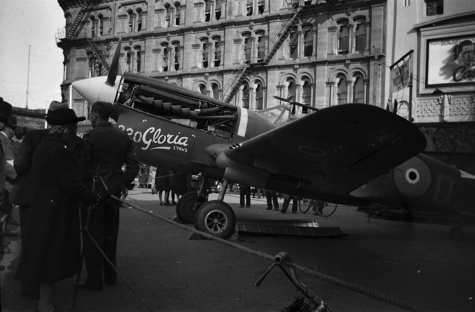 Kiwi Kittyhawk 37 Kiwi Kittyhawk 37