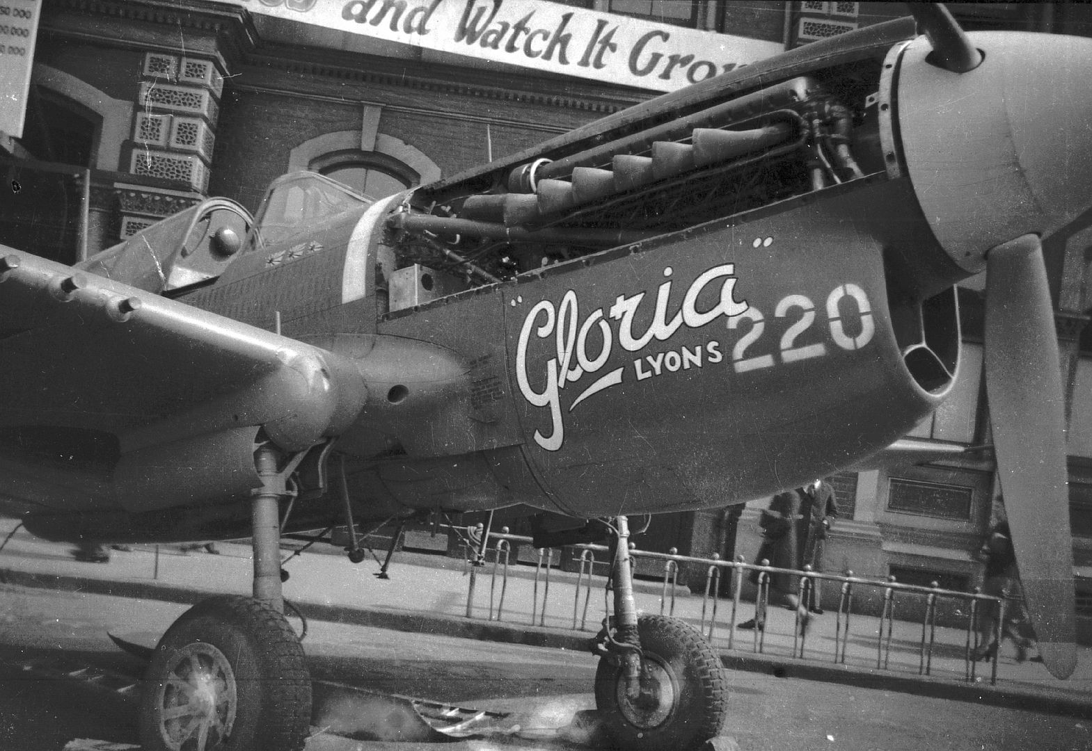 Kiwi Kittyhawk 39 Kiwi Kittyhawk 39