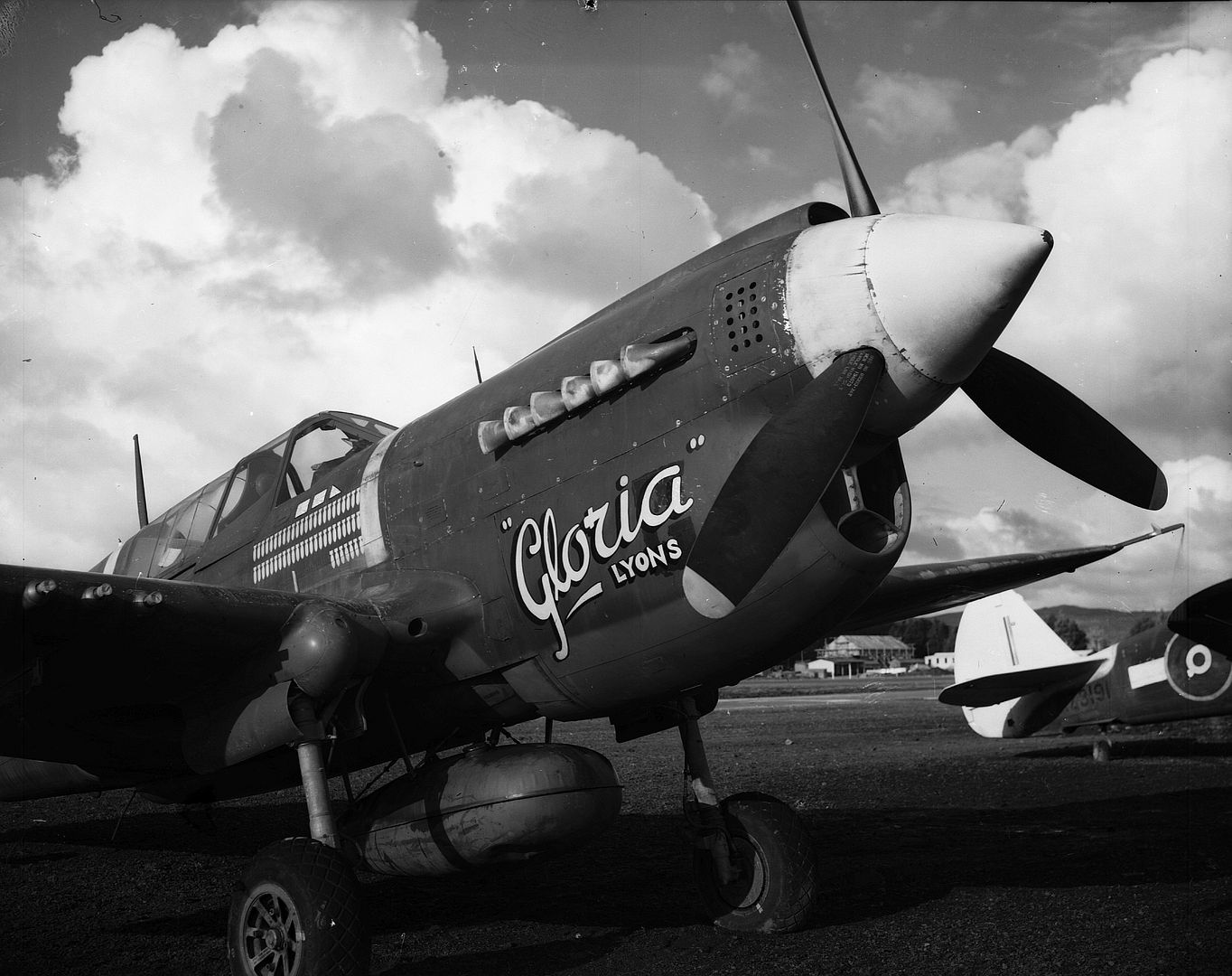 Kiwi Kittyhawk 41 Kiwi Kittyhawk 41