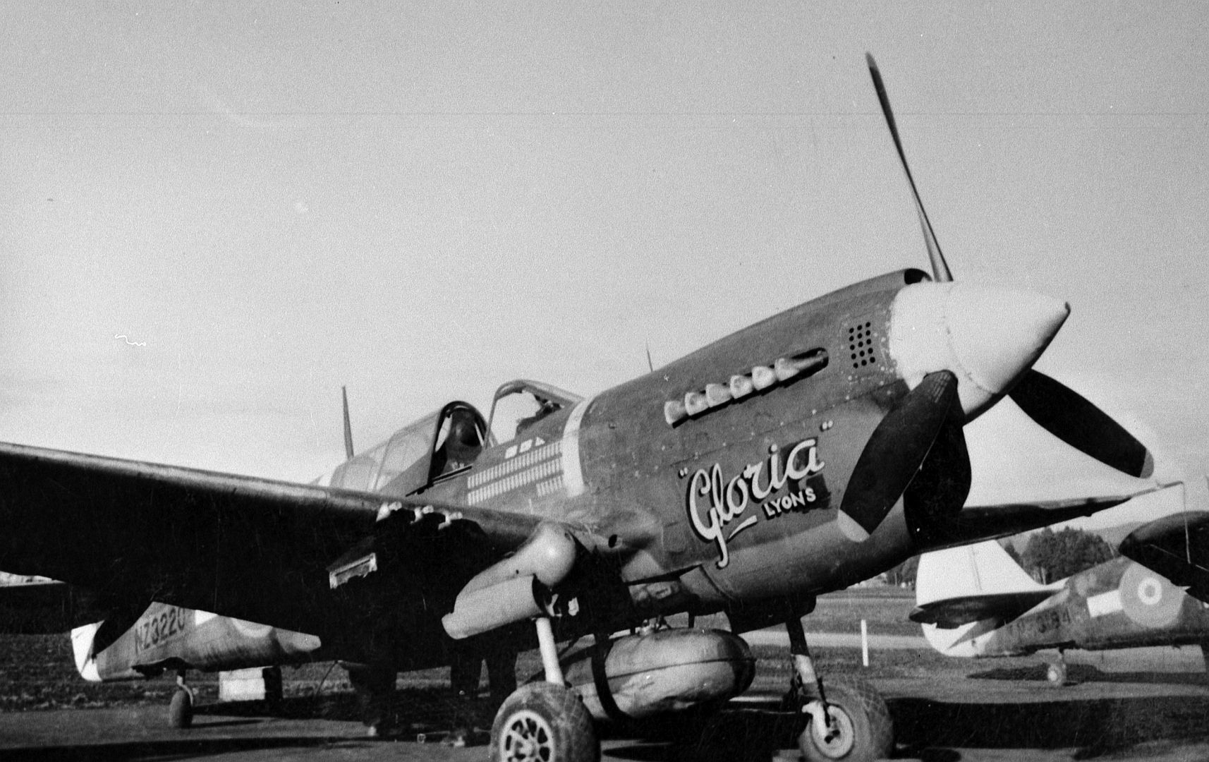 Kiwi Kittyhawk 42 Kiwi Kittyhawk 42