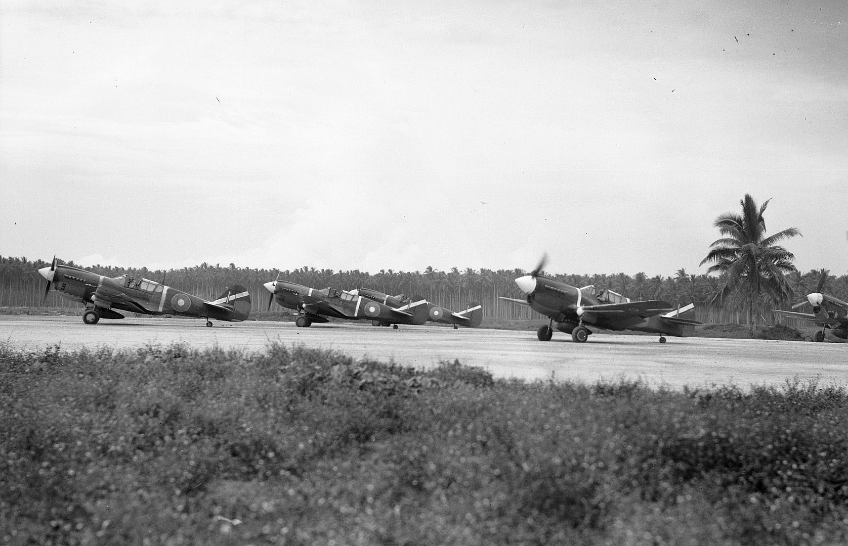 Kiwi Kittyhawk 44 Kiwi Kittyhawk 44