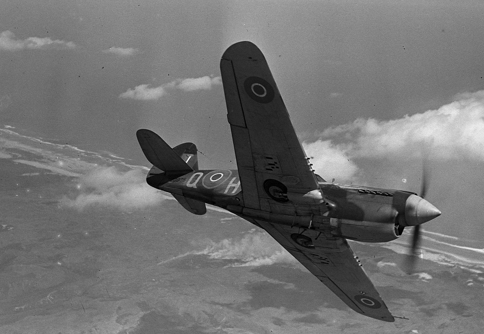 Kiwi Kittyhawk 46 Kiwi Kittyhawk 46