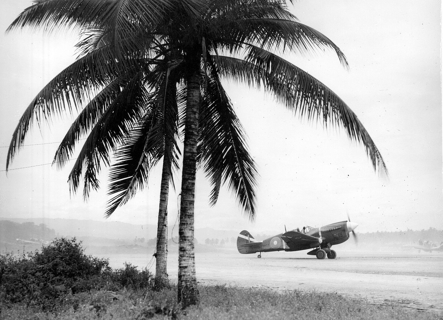 Kiwi Kittyhawk 47 Kiwi Kittyhawk 47