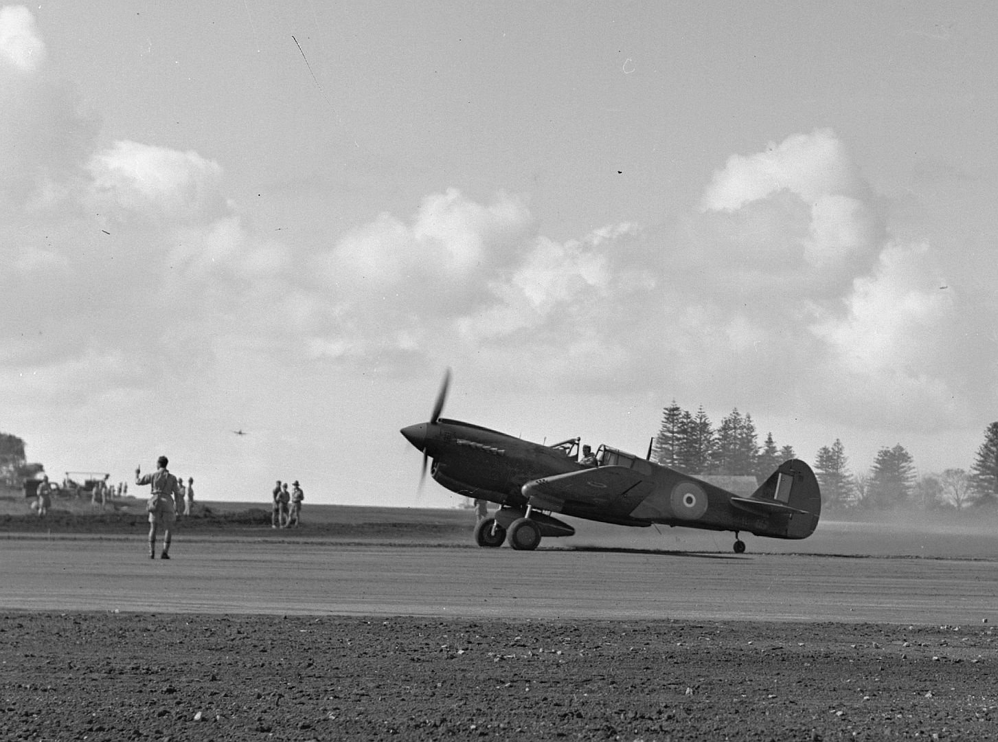 Kiwi Kittyhawk 49 Kiwi Kittyhawk 49